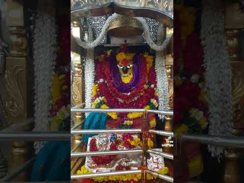 Vindhyachal Mata Darshan 🙏  #vindhyachal #vindhyachaltemple #matarani #mata #youtubeshorts #shorts