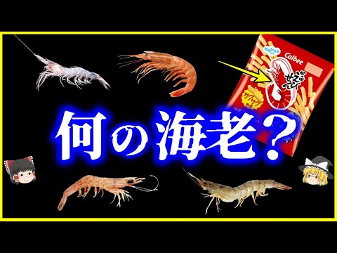 【ゆっくり解説】「えび」なのに「かっぱ」？「かっぱえびせん」に使われているエビ6選を解説