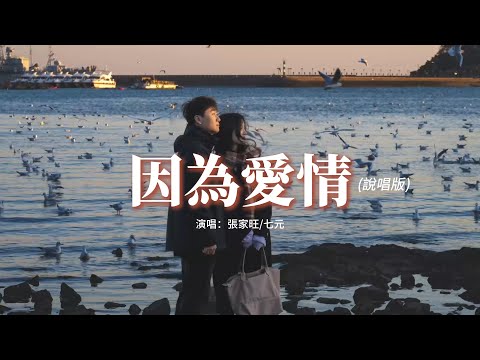 張家旺/七元 - 因為愛情（說唱版）『因為愛情 可以讓愛人眼淚滿眶，因為愛情 可以讓彼此了解對方。』【動態歌詞MV】