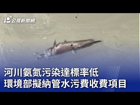 河川氨氮污染達標率低 環境部擬納管水污費收費項目｜20241112 公視晚間新聞