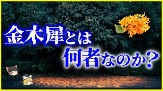 【ゆっくり解説】金木犀にまつわる噂の真相は…⁉️「金木犀」とは何者なのか？を解説/祖先は銀木犀⁉️秋の香りのキンモクセイ