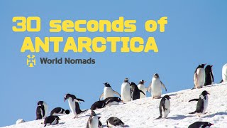 Antarctic shenanigans - World Nomads Travel Scholarship 2023 Submission