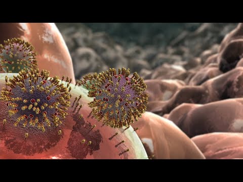 Influenza Animation