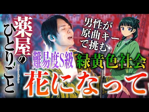 【難易度S級】緑黄色社会"花になって"原曲キーで歌ってみた【薬屋のひとりごとOP】