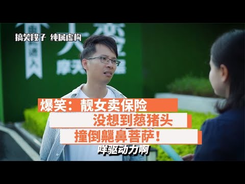 爆笑：靓女卖保险，没想到葾猪头，撞倒齆鼻菩萨！