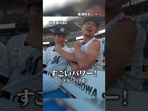 ビジョンに映る集団パワーの裏側 #chibalotte