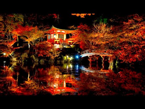 Japanese Zen Music for Healing and Relaxing /  Koto, Niko ,  Kokyu , Rin