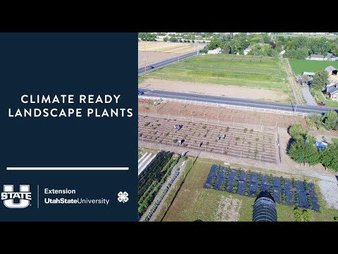 Climate Ready Plants for Western Landscapes