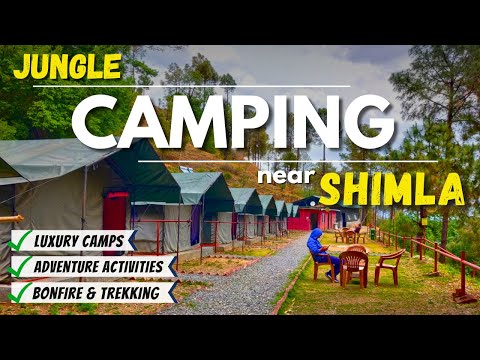 Shimla Camping | Best Place To Stay In Shimla | Hotels In Chail | Jungle Stays | Hotels In Shimla