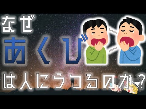 【空気感染な訳ない】あくびをする本当の理由とは？【ゆっくり解説】