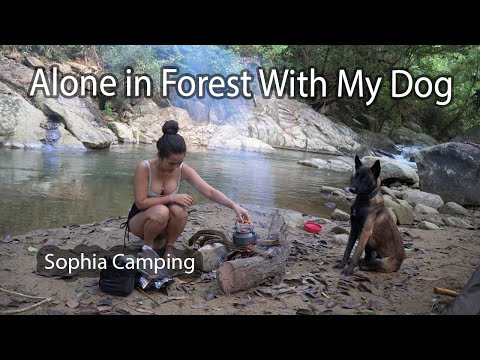 Solo Camping In The Forest With My Dog - Sophia Adventures