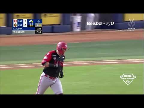 CARDENALES NETWORK: RESUMEN DIARIO #26 CARDENALES DE LARA VS. LEONES DEL CARACAS 15/11/2024