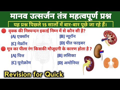 human excretory system | human excretory system mcq | excretory system questions | excretory system