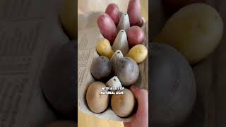 How to grow your own potatoes at home 💚