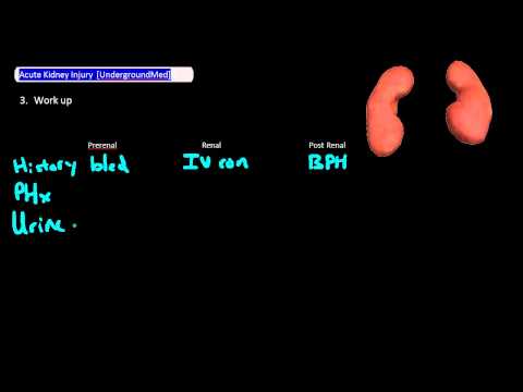 Adult Acute Kidney Injury [UndergroundMed]