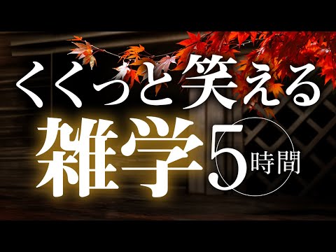 【睡眠導入】くくっと笑える雑学5時間【合成音声】