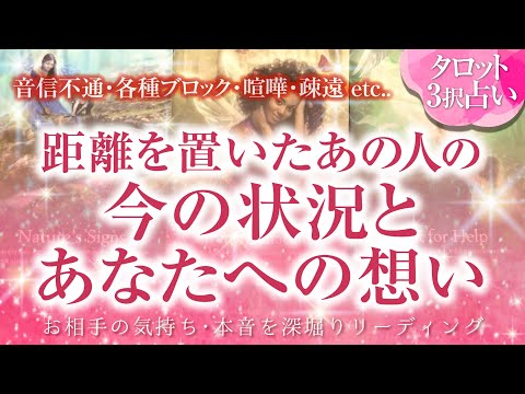 🔮恋愛タロット🌈音信不通・ブロック・お別れ・疎遠・喧嘩・すれ違いetc…距離が離れてしまったあの人の今❗現状とあの人のお気持ち🌈今は何をしてる❔何を考えてる❔🌈2人の関係・未来💗復縁リーディング💗