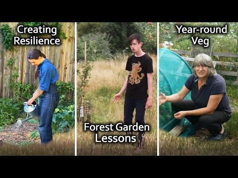 Year-round Veggies, Forest Garden Lessons and Creating Resilience at Home