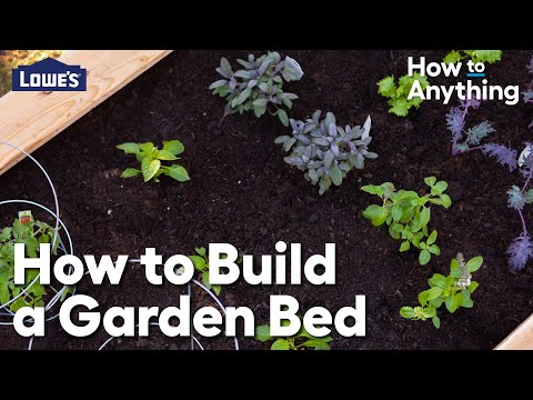 How to Build a Garden Bed | How To Anything