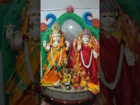 shree laxmi narayan dibya darsan #Laxmi#bishnu #shorts#viral#video