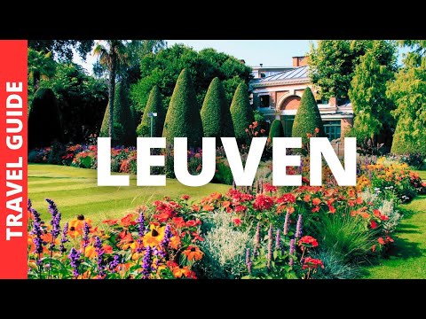 Leuven Belgium Norway Travel Guide: 15 BEST Things To Do In Leuven