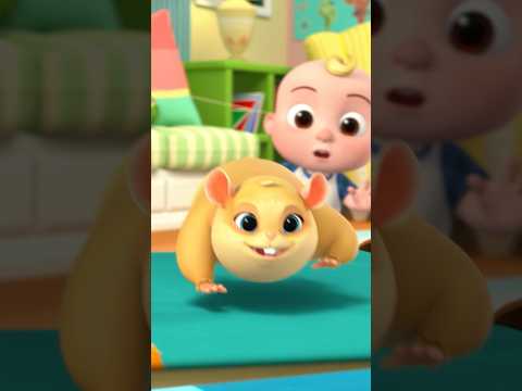 Amazing Hamster Tricks with Jellybean! #cocomelon #shorts