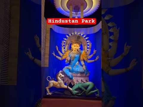 Hindustan Park Sarbojonin I Hindustan Park Durgapuja 2024 I Durgapuja 2024 #shorts #durgapuja2024