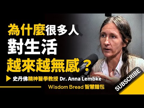 為什麼很多人對生活越來越無感？► 聽聽史丹佛大學精神醫學教授怎麼說 - Dr. Anna Lembke 安娜·倫伯克博士（中英字幕）