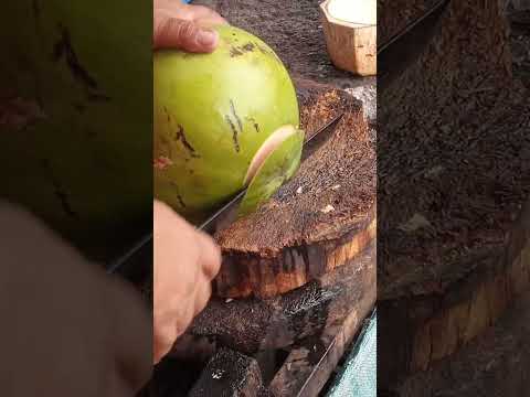 amazing coconut cutting sound Asmr #satisfying #streetfood #coconutcutting #youtubeshorts #Gatchie