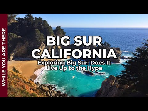 Exploring Big Sur Does It Live Up to the Hype