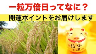 一粒万倍日とは？／開運ポイント／心がけること