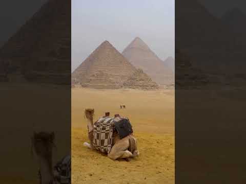 Discover the Great Pyramid of Giza: The Oldest Wonder Still Standing!  #ancientwonders #greatpyramid