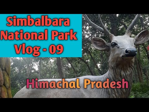 A Beautiful visit to Simbalbara National Park in Himachal Pradesh - Vlog 09