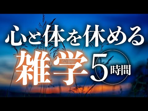 【睡眠導入】心と体を休める雑学5時間【合成音声】