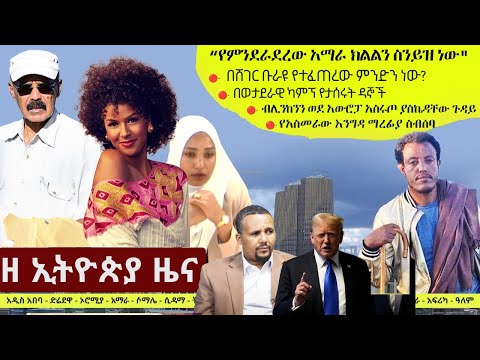 Ethiopia ዘ ኢትዮጵያ የዕለቱ ዜና | The Ethiopia Daily Ethiopia News November 12, 2024 | The Ethiopia Channel