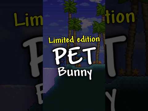 How to get the Pet bunny in Terraria WITHOUT the collectors edition