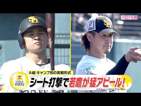 （A組キャンプ初の実践形式）シート打撃で若鷹が猛アピール！【スポーツキラリ★】