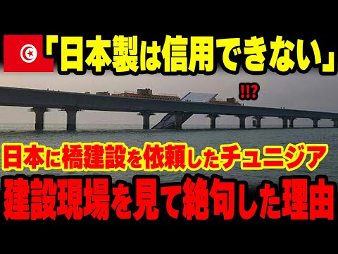 【海外の反応】「日本製はやはり信用ならん！」日本に橋建設を任せたチュニジアが建設現場を覗いたら…【総集編】【グレートJAPANちゃんねる】