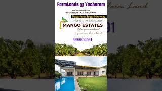 #farmlandsforsale #farmlands #yacharam #openplotsbazaar #nagarjunasagarhighway #openplots