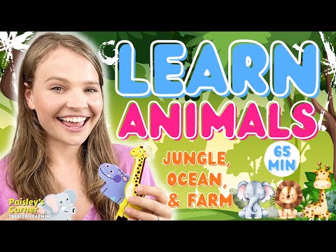 Learn Animals for Toddlers - Jungle Animals for Kids | Best Toddler Learning Video | Videos for Kids