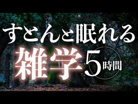 【睡眠導入】すとんと眠れる雑学5時間【合成音声】