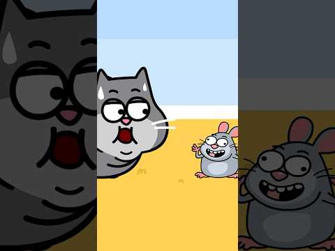 A Cat Always Wants to Eat - Hooray Kids Songs #nurseryrhymes #childrensmusic #animalsong