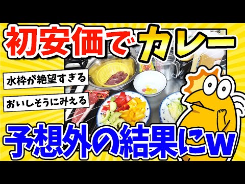 【2ch面白いスレ】初安価でカレー作る！→予想外の結果にwww