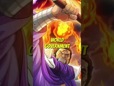 Why Fujitora's Justice Could Destroy the World Government!