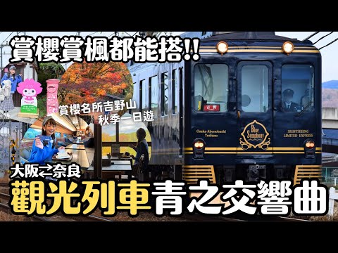 大阪⇄奈良觀光列車青之交響曲開箱🎵日本賞櫻名所吉野山秋季一日遊｜近鐵電車 日本關西 4K VLOG