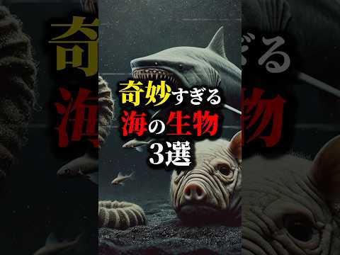 奇妙な海の生き物3選...#都市伝説 #雑学 #怖い話