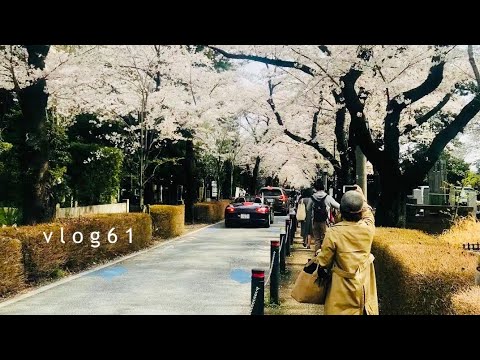 🇯🇵 東京賞櫻小眾景點『🌸青山靈園｜六本木一丁目｜千代田區宮本公園』 2021版 ｜ TOKYO life vlog 61 ｜厚片兔司