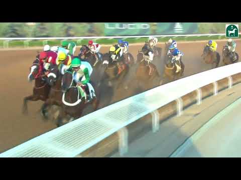 RIYADH RACING SEASON MEETING NO 54 RACE NO 4