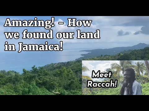 Amazing story - How we found our land in #Jamaica!