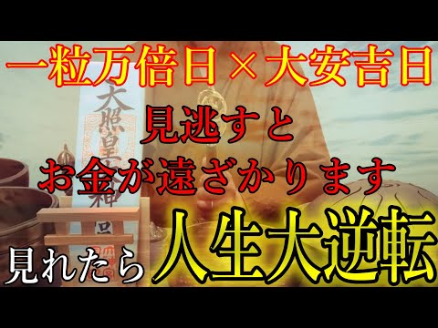 無視するとお金が遠ざかります。一粒万倍日×大安吉日の残り6時間以内に見れたら、人生大逆転出来るほどの大金を引き寄せます！お金に恵まれ始める黄金パワー【11月2日(土)金運上昇祈願】